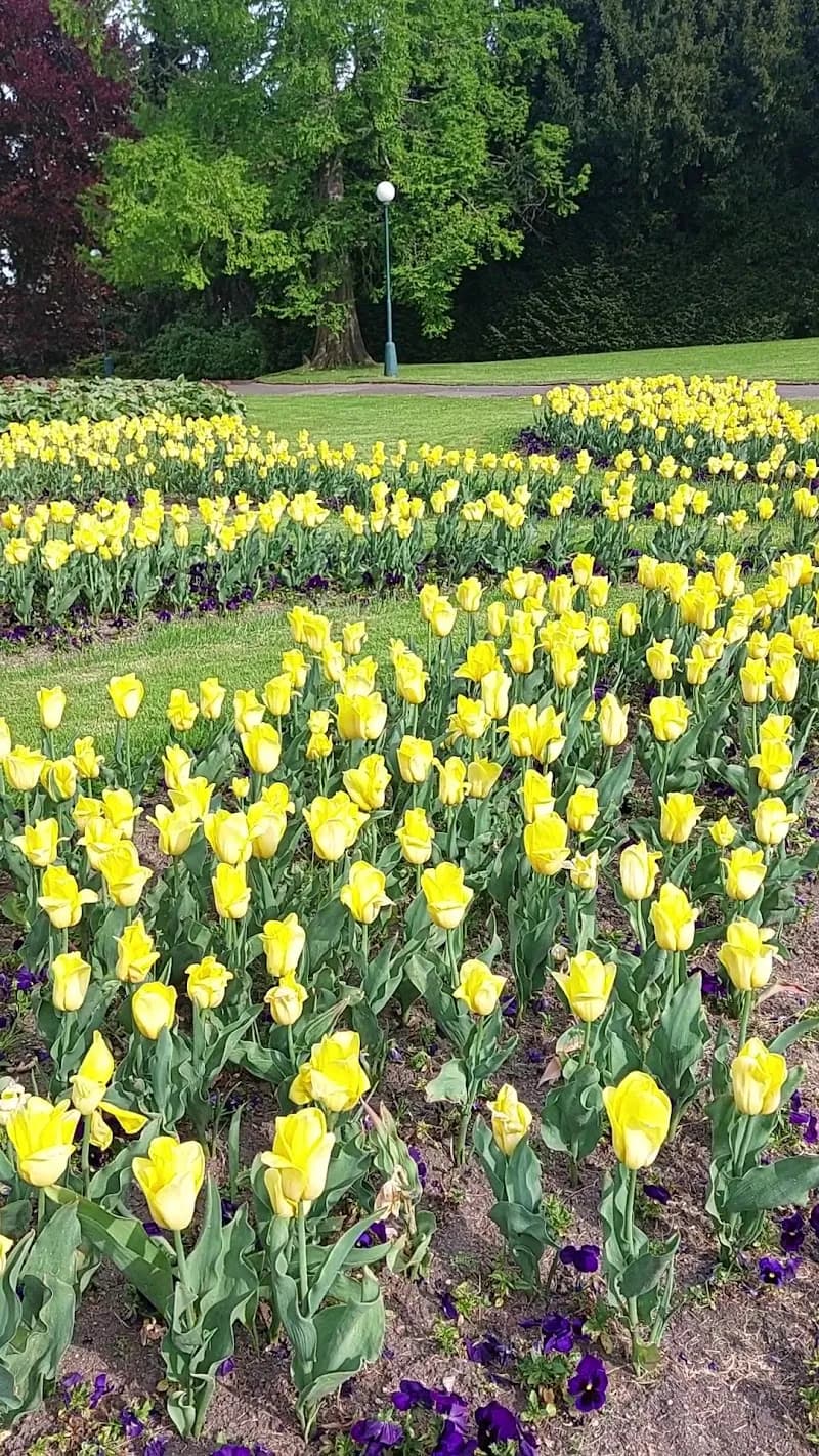 View of Prague Castle Gardens (Královská zahrada) in Hradčany, CZ