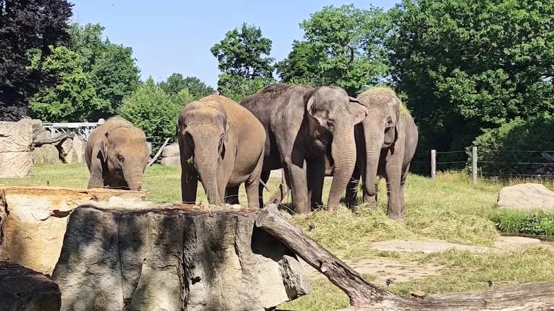 View of Prague Zoo in Žižkov, CZ