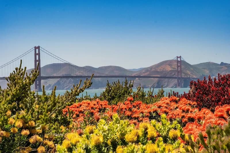 Presidio Tunnel Tops park in San Francisco, CA