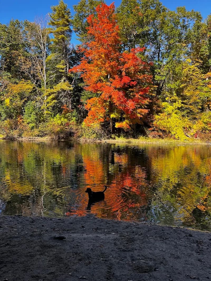 View of Presumpscot River Preserve in Portland ME, ME