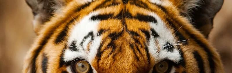 Pretoria Aquarium aquarium in Pretoria, GP