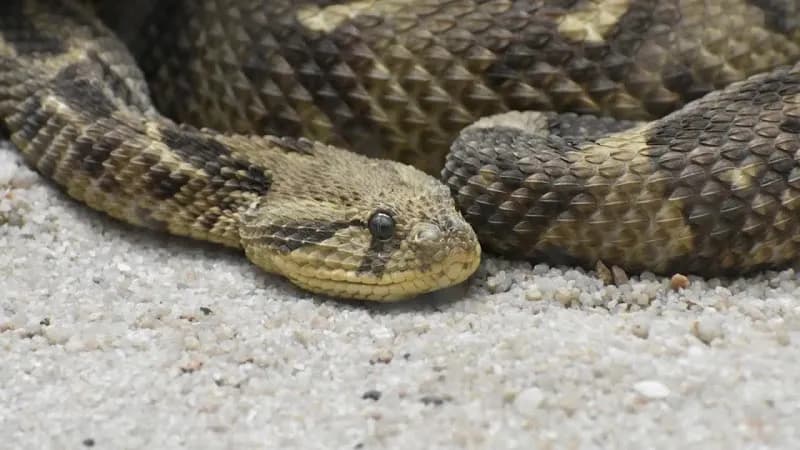 View of Pretoria Aquarium in Pretoria, GP