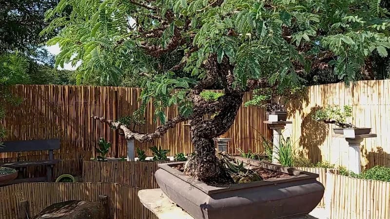 View of Pretoria Sunken Garden in Pretoria, GP