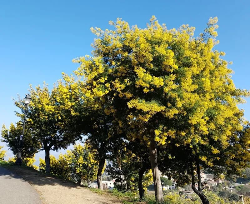 Promenades du Tanneron park in Mandelieu-la-Napoule, PACA