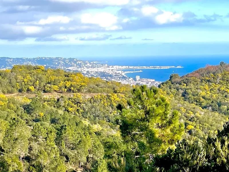 View of Promenades du Tanneron in Mandelieu-la-Napoule, PACA