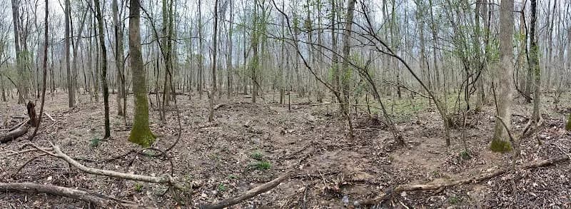 View of Providence Nature Preserve in Weddington, NC