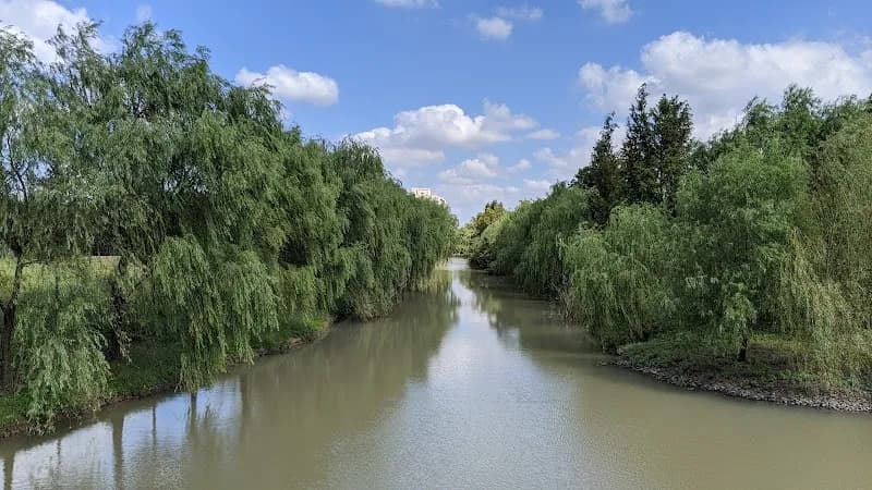 Pudong Jinhai Wetland Park park in Pudong (Lujiazui), SH