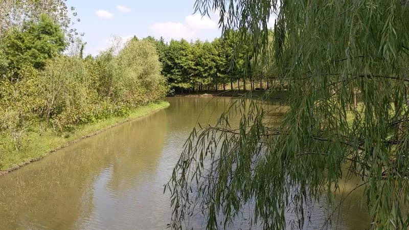 View of Pudong Jinhai Wetland Park in Pudong (Lujiazui), SH