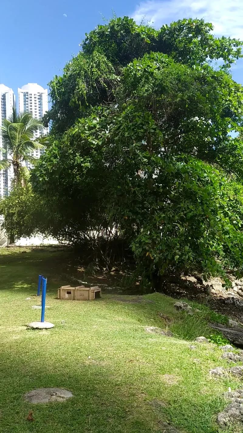 View of Punta Pacifica Playground in Punta Pacifica, PA