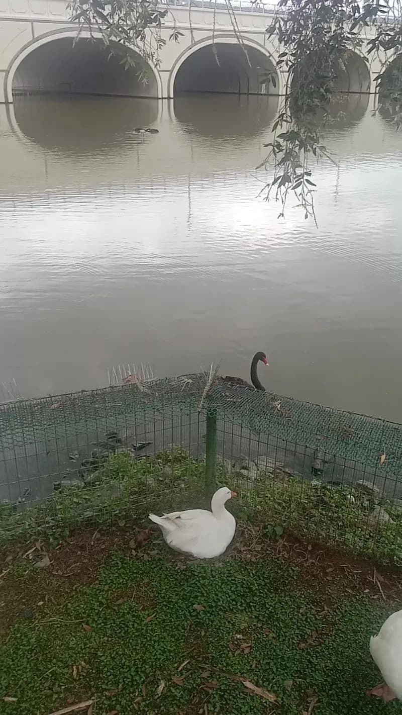 View of Putrajaya Wetlands Park in Putrajaya, FT