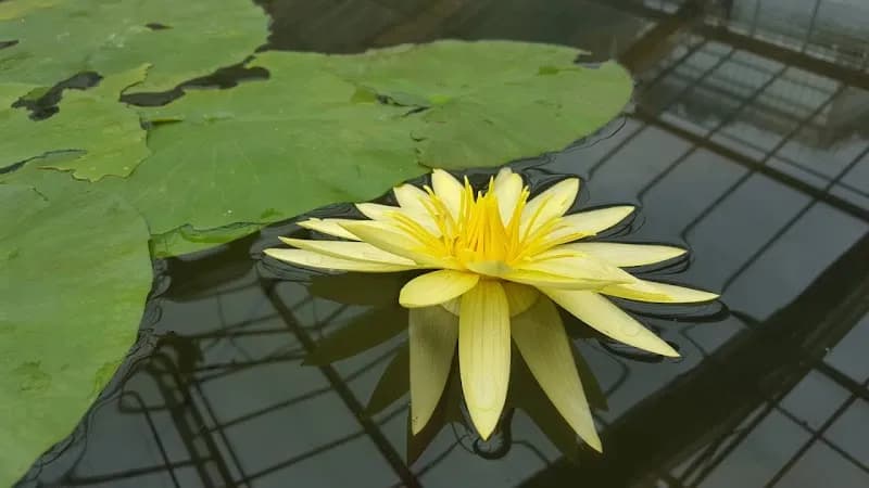 View of Queen Sirikit Botanic Garden in Mae Rim, CM
