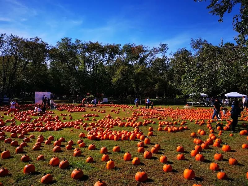 View of Queens County Farm Museum in New York City, NY