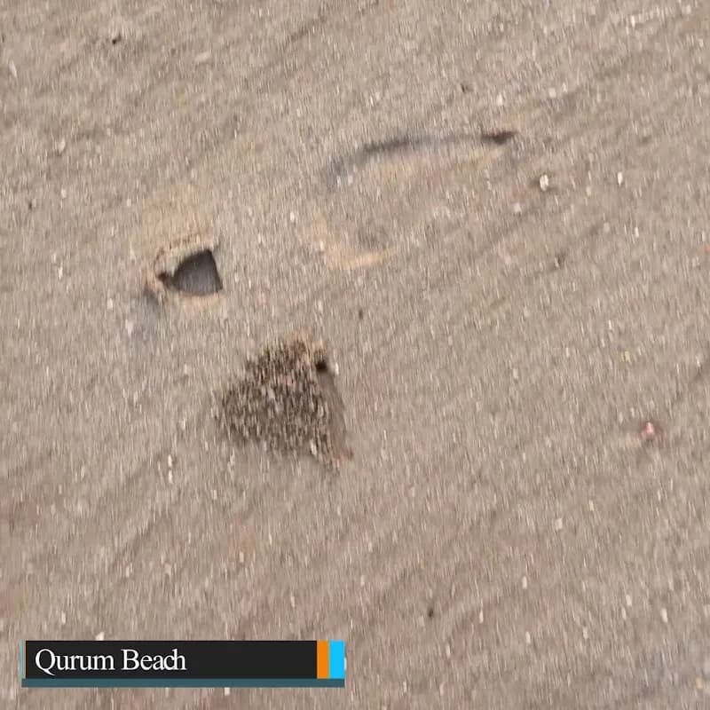 View of Qurum Beach in Qurum, Muscat