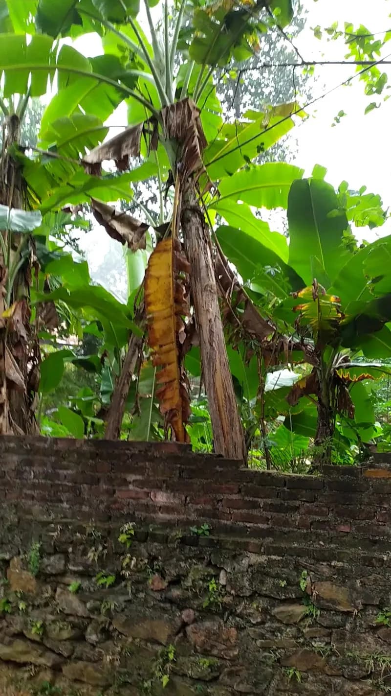 View of Rùa House HillTop in Chương Mỹ, HN