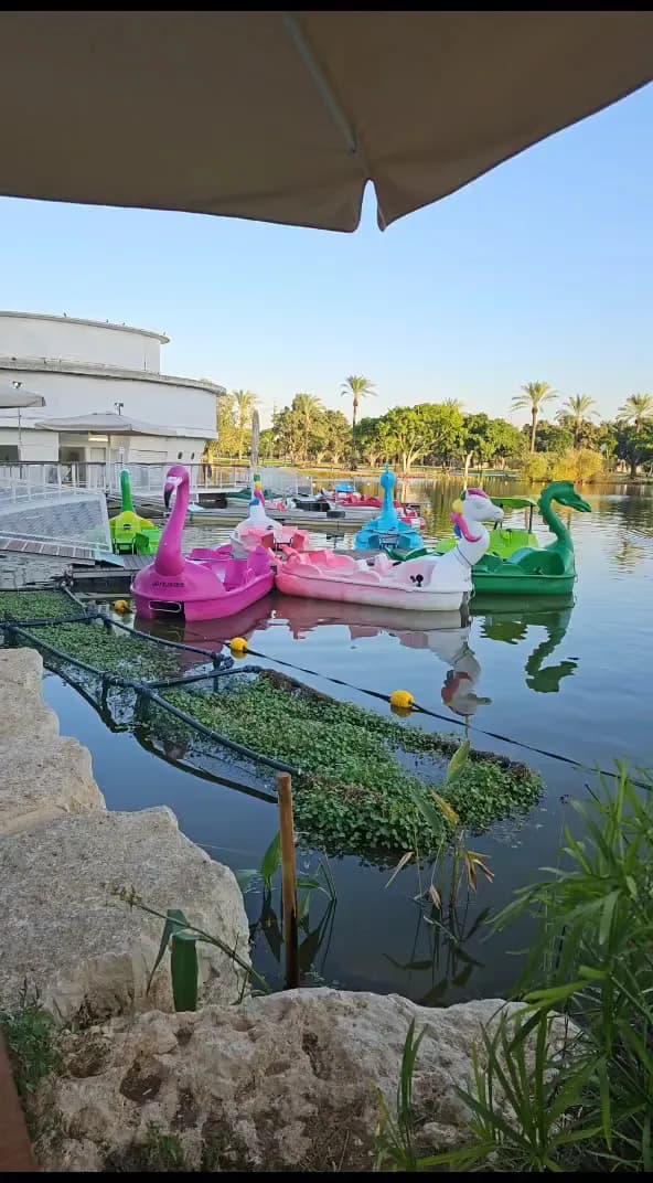 View of Ramat Gan National Park in Ramat Gan, TA