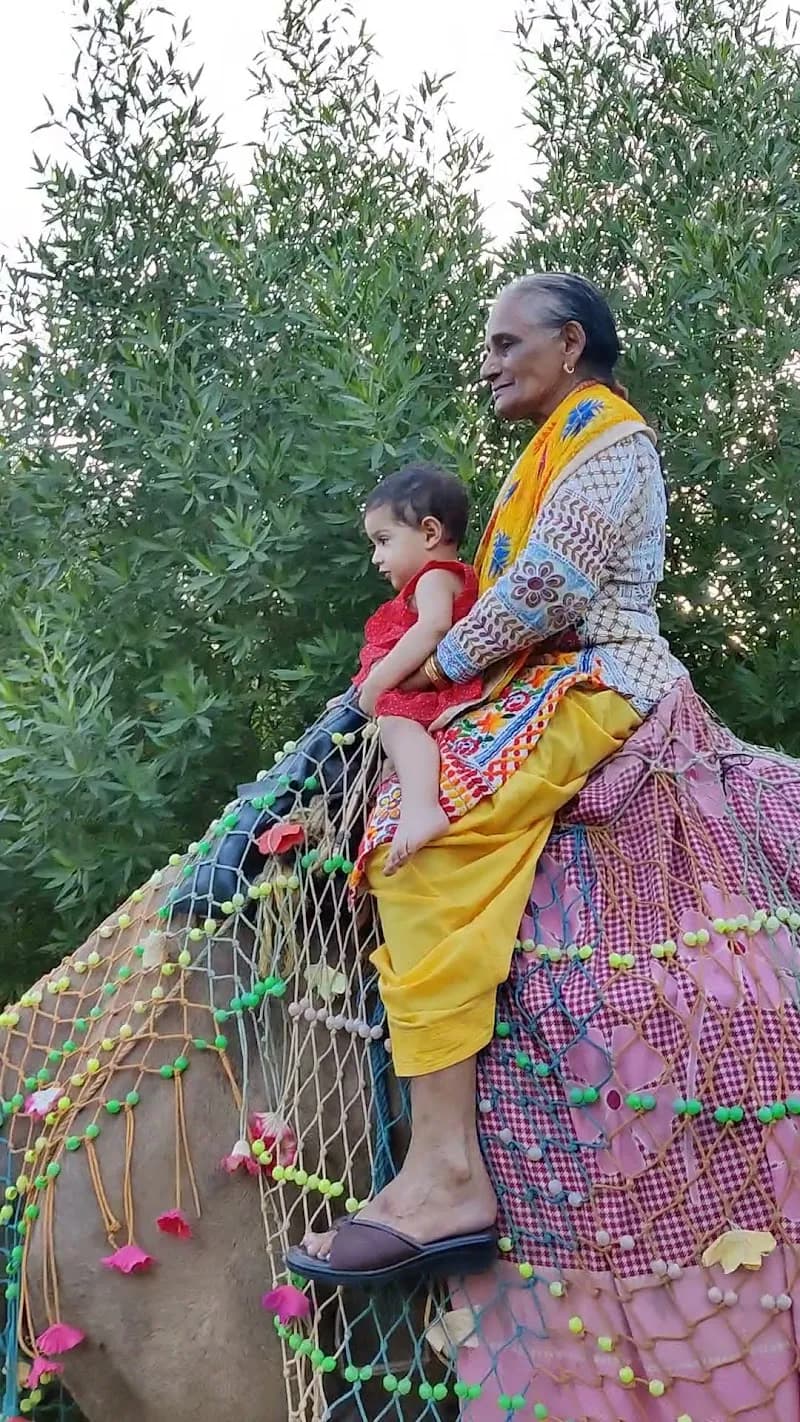 View of Rangmanch Farms in Manesar, HR