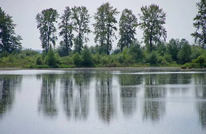 View of Rannie Road in Pitt Meadows, BC