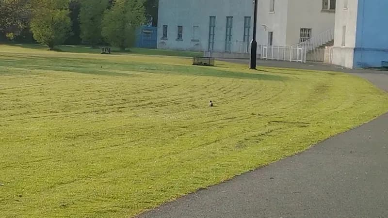 View of Rathfarnham Castle Surroundings in Templeogue, D