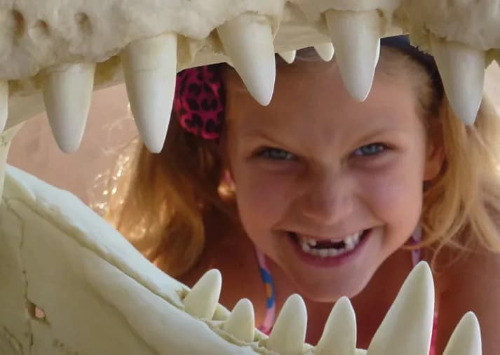 Rattlesnake Museum & Gift Shop museum in Old Town, NM