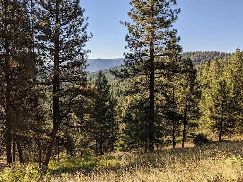 Rattlesnake National Recreation Area & Wilderness hiking area in Missoula, MT