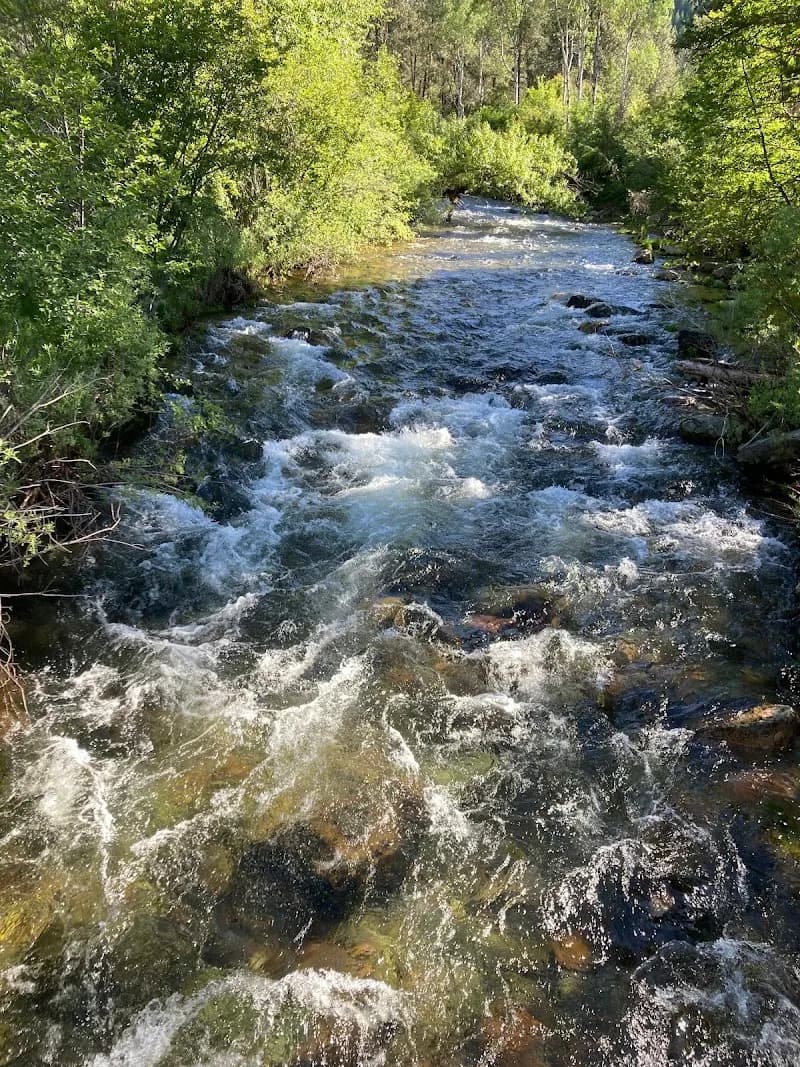 View of Rattlesnake National Recreation Area & Wilderness in Missoula, MT