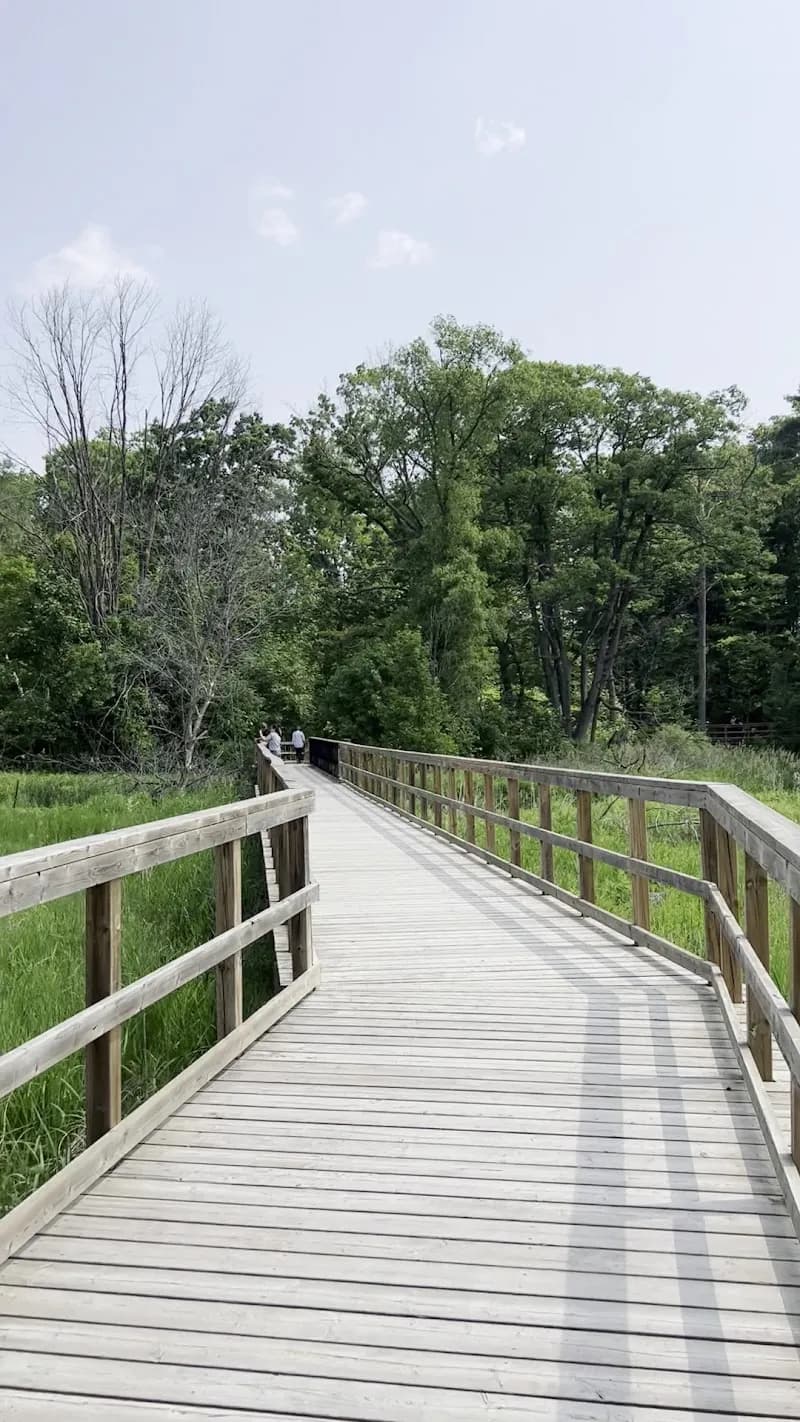 View of Rattray Marsh Conservation Area in Mississauga, ON