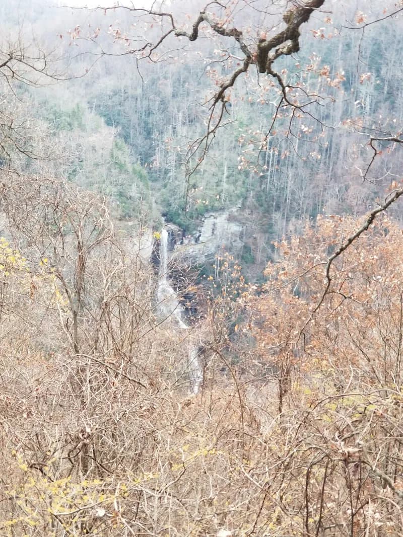 View of Raven Cliff Falls Trail in Greenville, SC