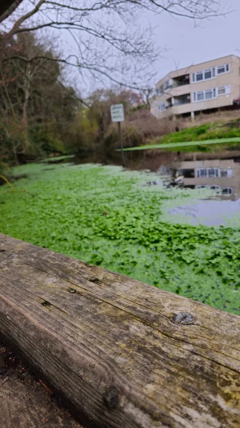 View of Ravensbury Park in Merton, London