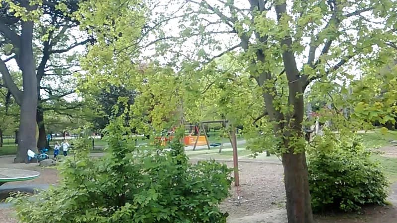 View of Ravenscourt Park in Hammersmith, London