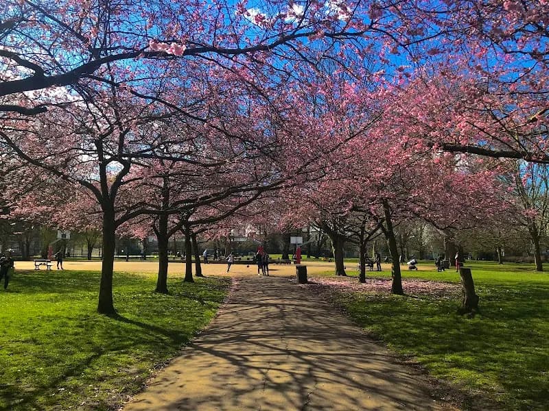 View of Ravenscourt Park in Hammersmith, London