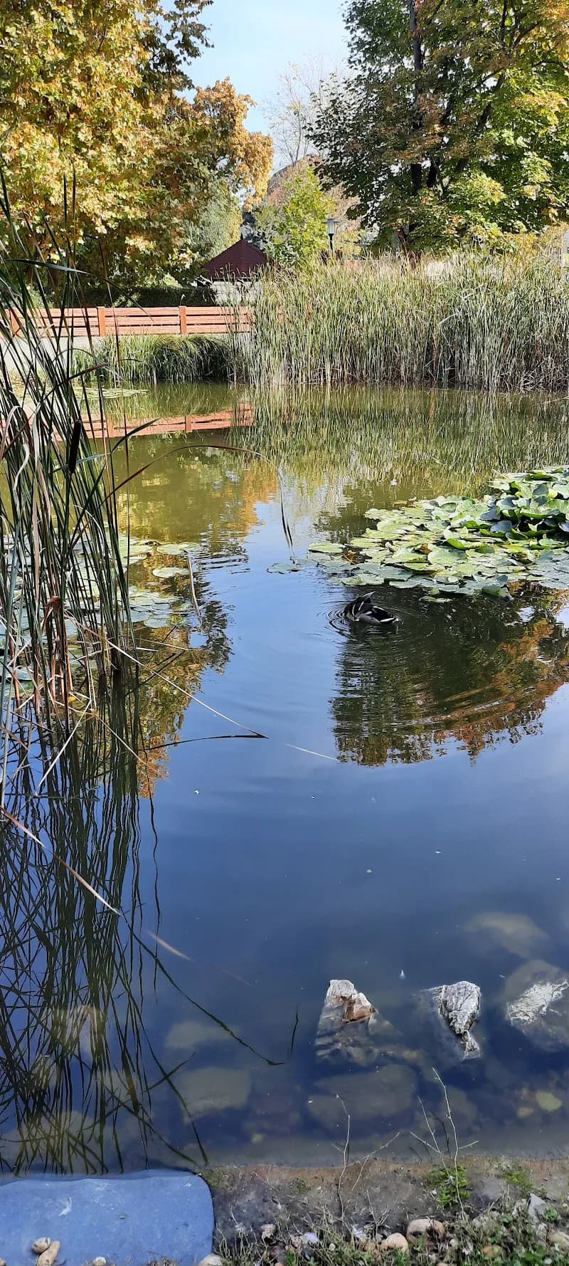 View of Érdligeti Park in Érd, Budapest