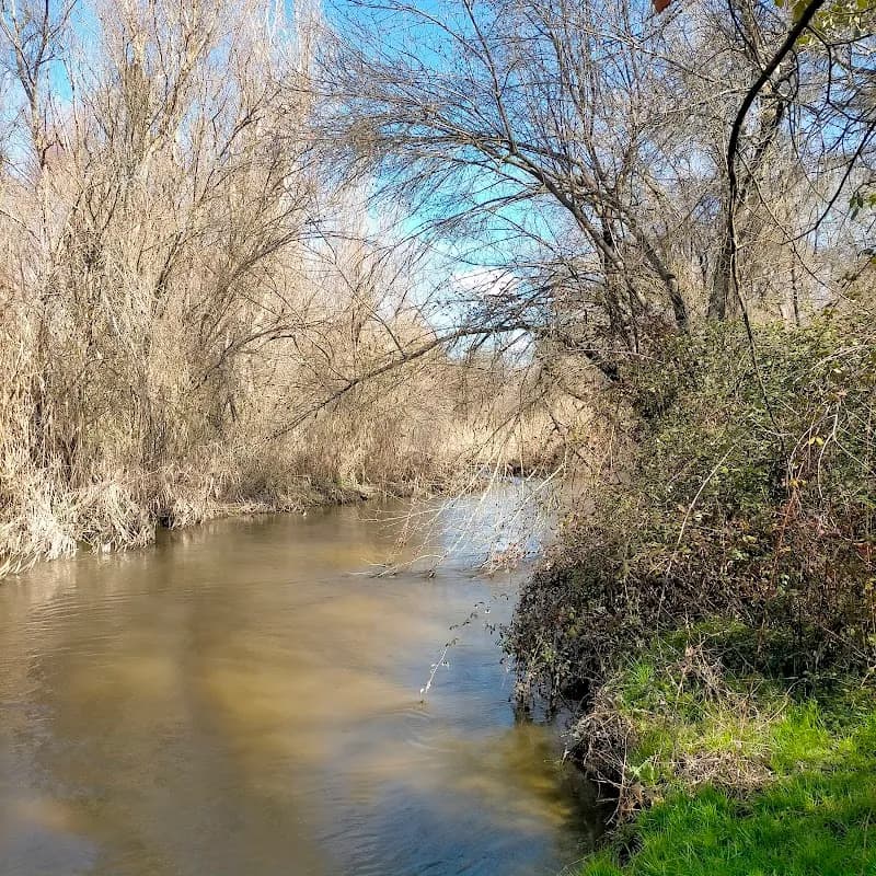 Área Recreativa Dehesa Del Sotillo nature preserve in Villaviciosa de Odón, Madrid