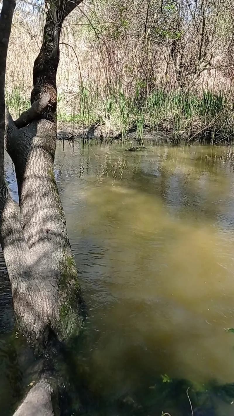 View of Área Recreativa Dehesa Del Sotillo in Villaviciosa de Odón, Madrid