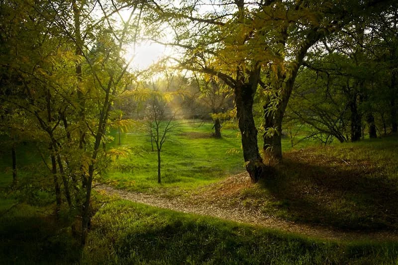 View of Área Recreativa Dehesa Del Sotillo in Villaviciosa de Odón, Madrid