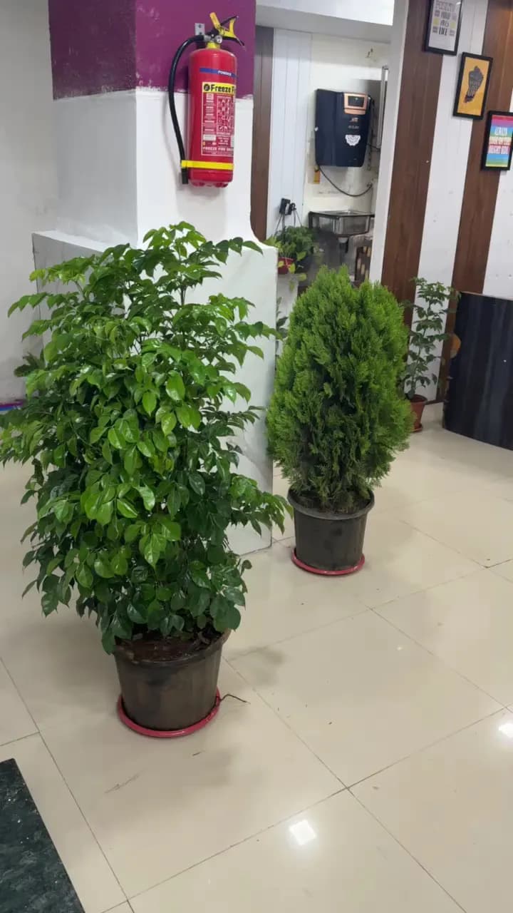 View of READERS HUB LIBRARY DADAR - Reading Room and Study Room in Dadar, MH