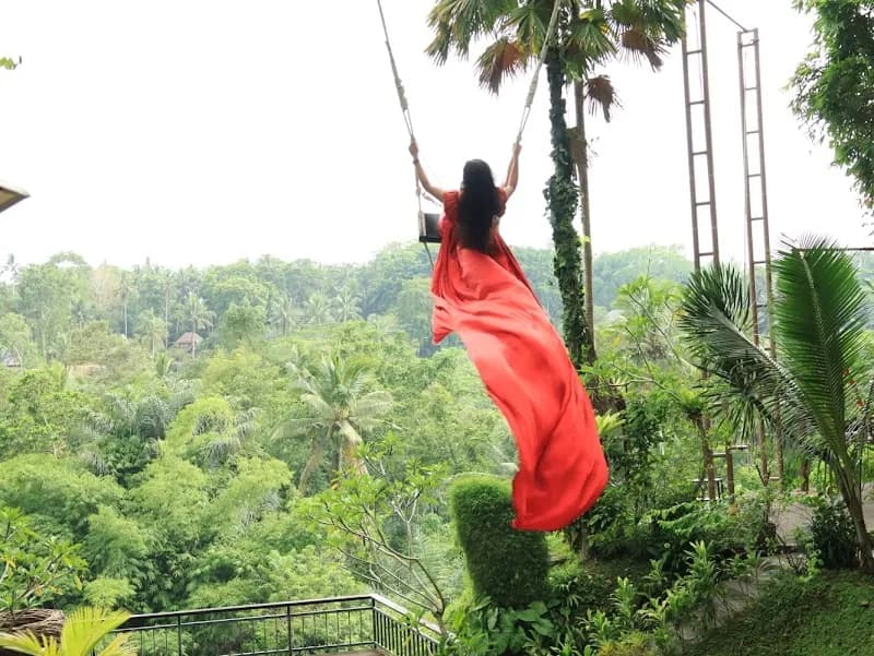 View of Real Bali Swing in Bali, BA