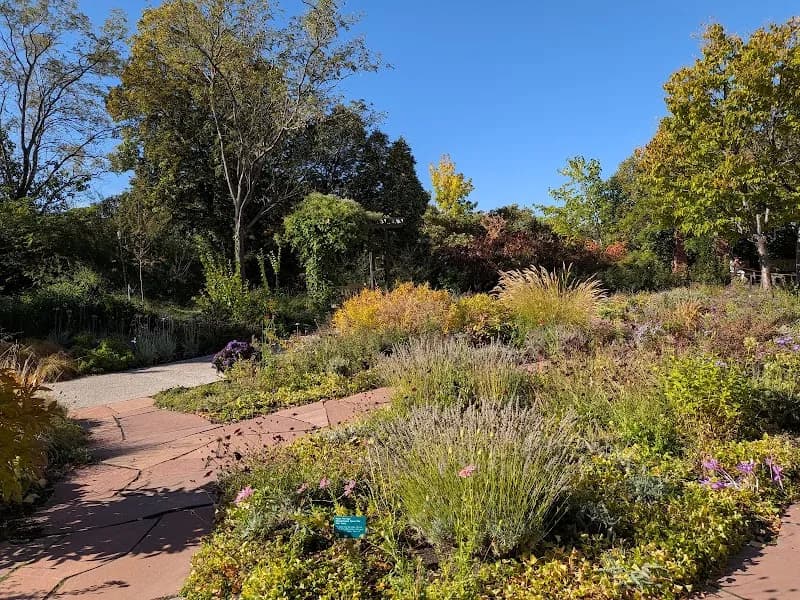 View of Red Butte Garden and Arboretum in Salt Lake City, UT