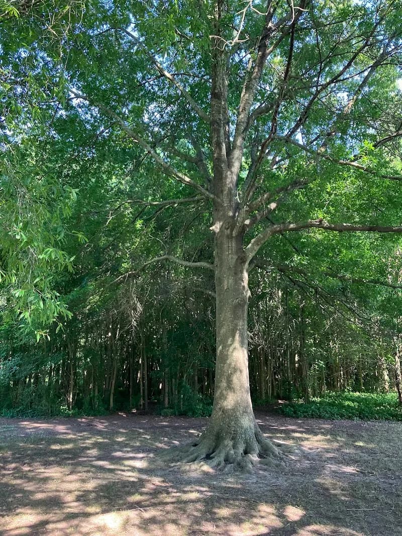 View of Red Mill Farms Park in Red Mill, VA