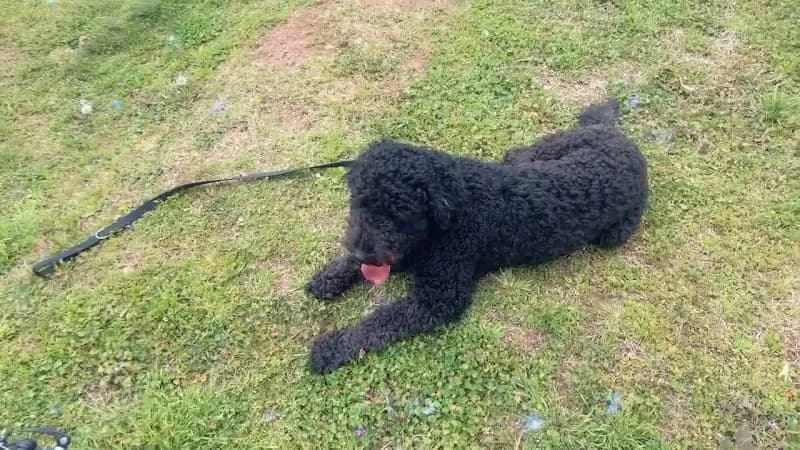 View of Red Mountain Park in Birmingham, AL