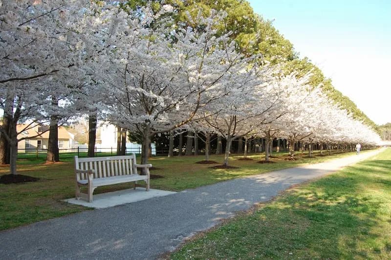 Red Wing Park park in Oceana, VA