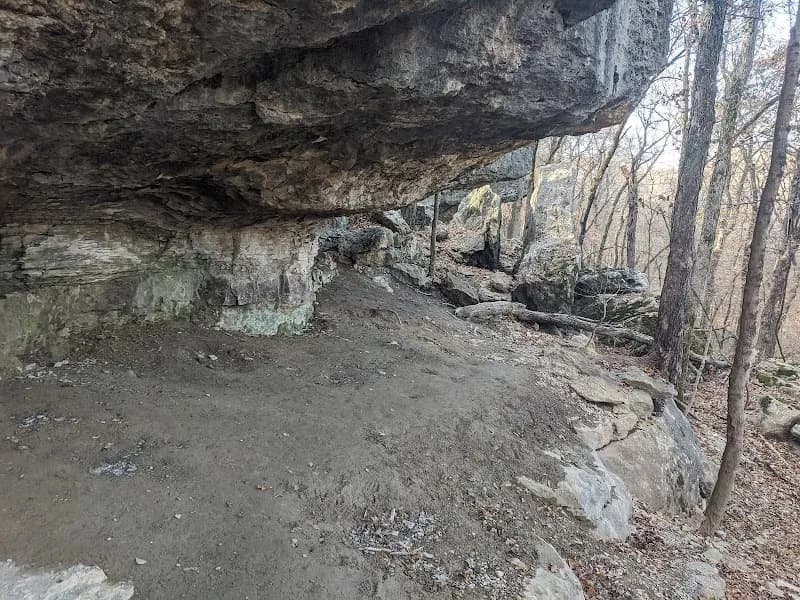 View of Redbud Valley Nature Preserve in Owasso, OK