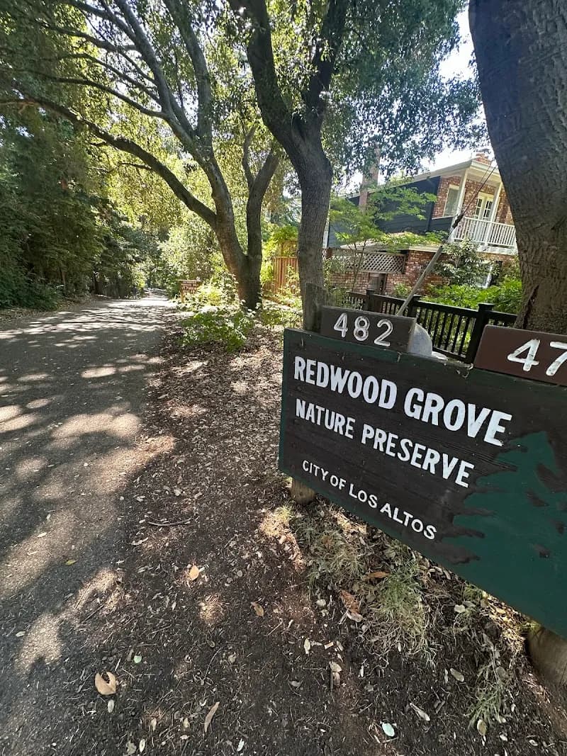 View of Redwood Grove Nature Preserve in Los Altos, CA