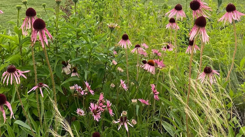 Reflection Riding Arboretum & Nature Center nature preserve in Chattanooga, TN