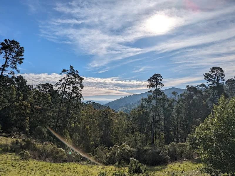 View of Reinhardt Redwood Regional Park in Oakland, CA