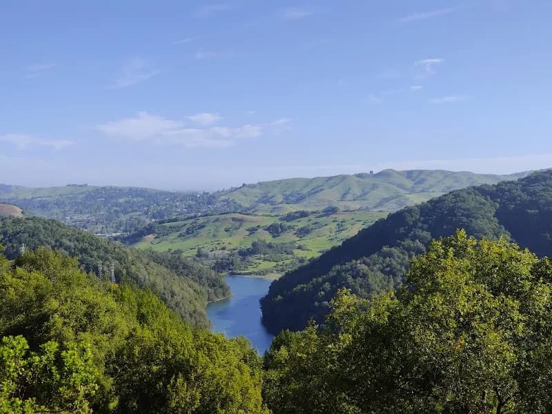 View of Reinhardt Redwood Regional Park in Oakland, CA
