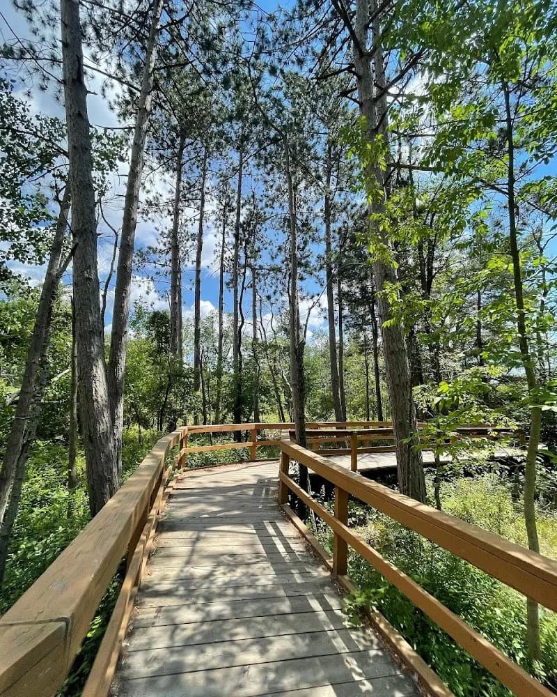 View of Reinstein Woods Nature Preserve in Cheektowaga, NY
