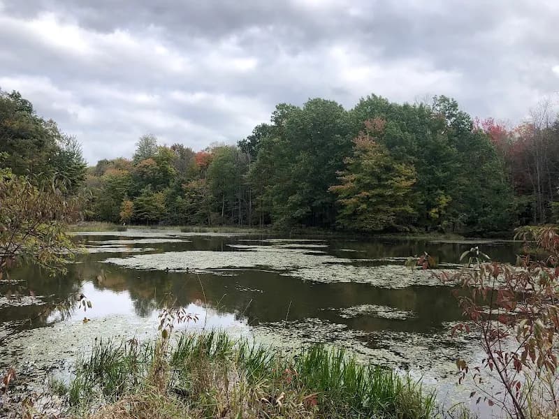 View of Reinstein Woods Nature Preserve in Cheektowaga, NY