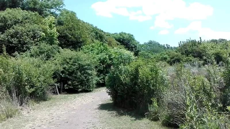 View of Reserva Natural Urbana de Morón in Moron, BA