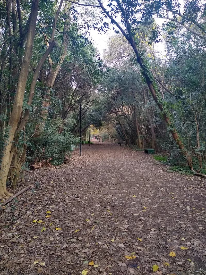 View of Reserva Natural Urbana de Morón in Moron, BA