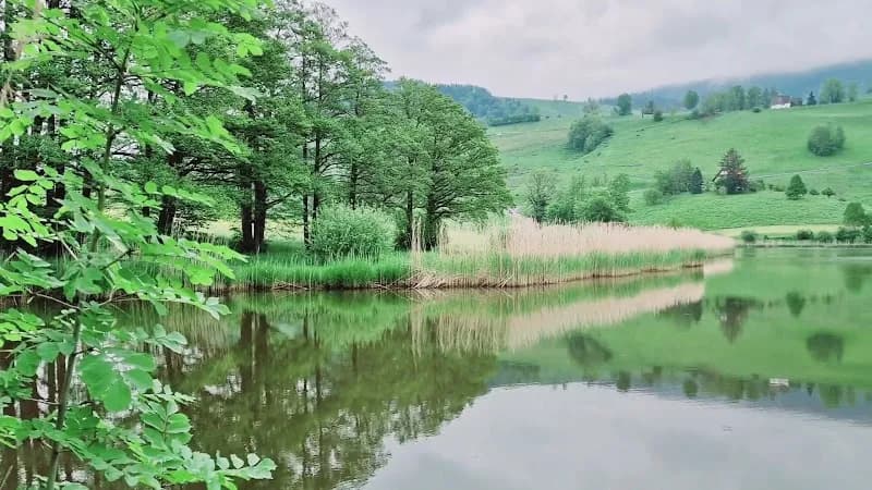 View of Restaurant am Hüttnersee in Samstagern, ZH